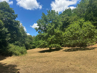 Propriété à vendre à Nontron, Dordogne - 265 000 € - photo n°8