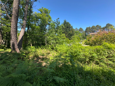 Terrain à vendre à Chancelade, Dordogne, Aquitaine, avec Leggett Immobilier