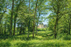 French property for sale in Vitrac, Dordogne - €1,999,000 - thumbnail 9
