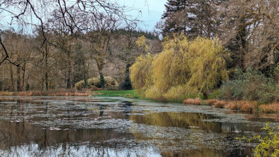 French property for sale in Ploërdut, Morbihan - €604,200 - photo 13