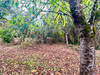 French property for sale in Hères, Hautes-Pyrénées - €35,000 - thumbnail 10
