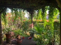 Maison à Toulouse, Haute-Garonne - photo 2
