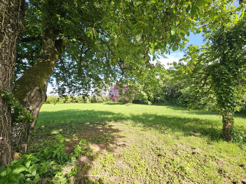 French property for sale in Bussy, Cher - €195,000 - photo 6