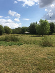 Terrain à vendre à Villaines-la-Juhel, Mayenne - 26.595 € - photo 4