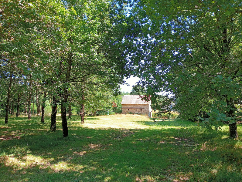 French property for sale in Marcillac-la-Croisille, Corrèze - €278,200 - photo 11