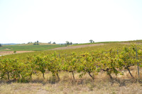 Propriété à vendre à Castelviel, Gironde - 795 000 € - photo n°1