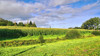 French property for sale in Lesbois, Mayenne - €69,000 - thumbnail 14