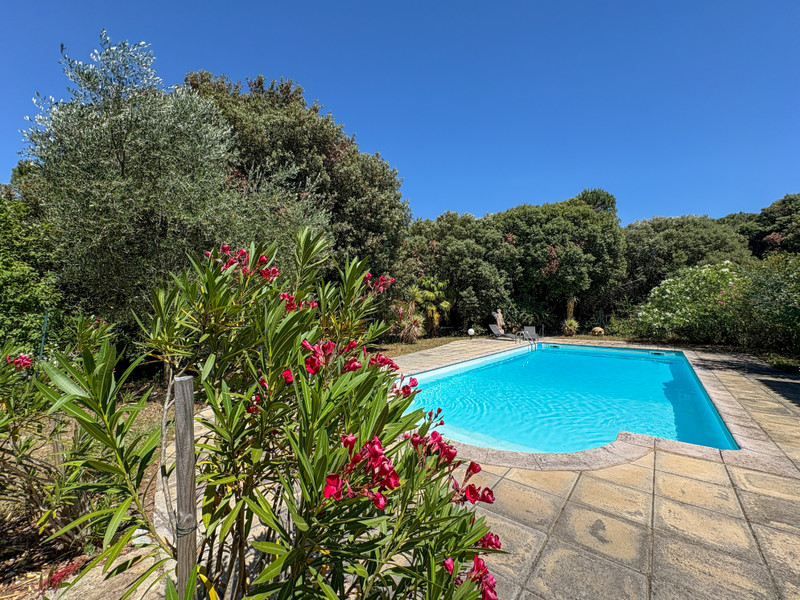 French property for sale in Montolieu, Aude - €695,000 - photo 2