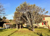 French property for sale in Castets et Castillon, Gironde - €469,000 - thumbnail 9