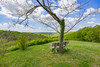 French property for sale in L'Honor-de-Cos, Tarn-et-Garonne - €675,000 - thumbnail 14