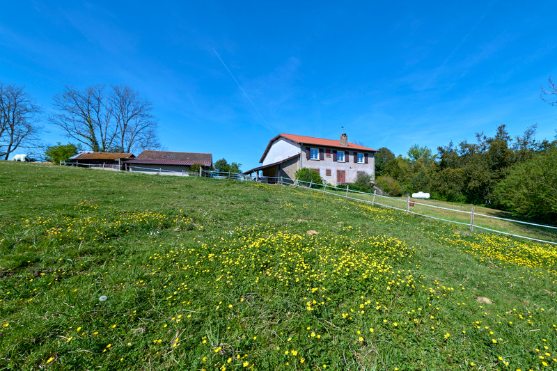 French property for sale in Habas, Landes - €340,000 - photo 2