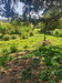 French property for sale in Menat, Puy-de-Dôme - €108,898 - thumbnail 9
