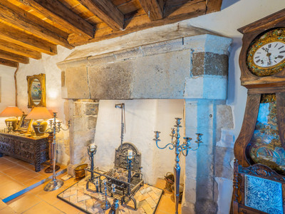 French property for sale in Brigueil-le-Chantre, Vienne - €990,150 - photo 4
