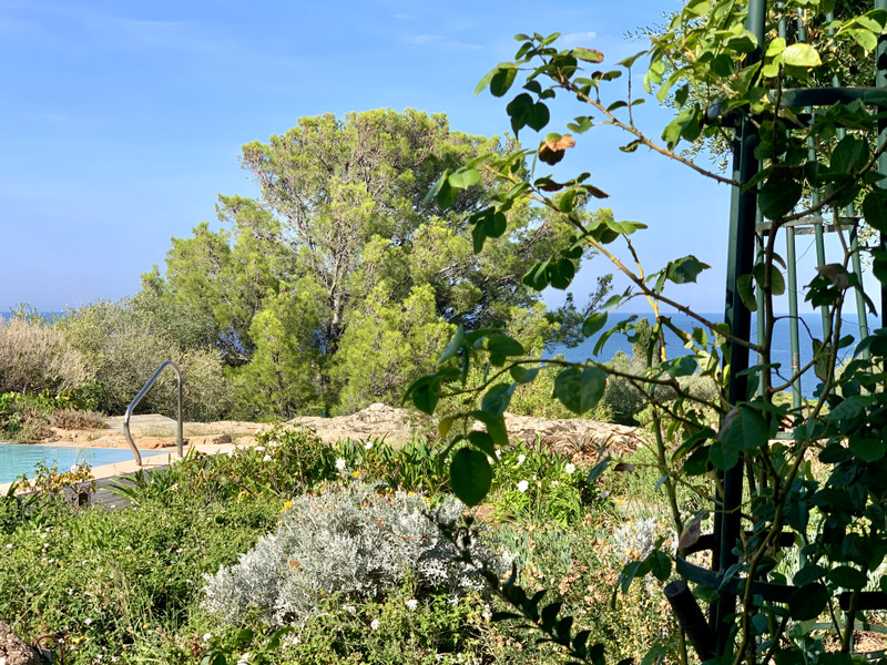 French property for sale in Algajola, Corsica - &#8364;1,579,000 - photo 2