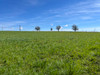 French property for sale in Brassac, Tarn-et-Garonne - €160,000 - thumbnail 13