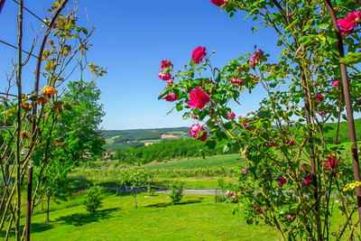 French property for sale in Mauroux, Lot - €599,000 - photo 5