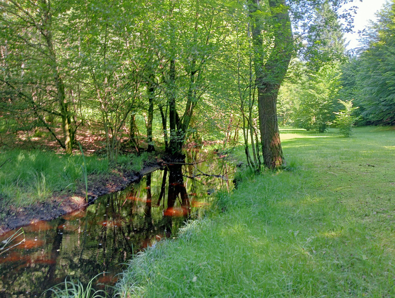 French property for sale in Marcillac-la-Croisille, Corrèze - €466,000 - photo 8