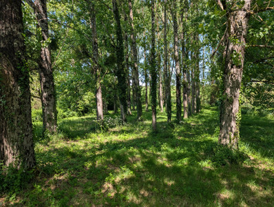 French property for sale in Chevanceaux, Charente-Maritime - €249,000 - photo 9