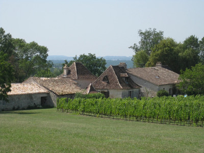 French property for sale in Boisse, Dordogne - €1,495,000 - photo 5