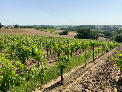 French property for sale in Espiens, Lot-et-Garonne - €213,000 - photo 8