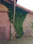 Grange à vendre à Exideuil-sur-Vienne, Charente - 21.600 € - photo 2