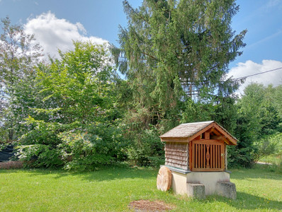 French property for sale in Neuvic, Corrèze - €424,000 - photo 9