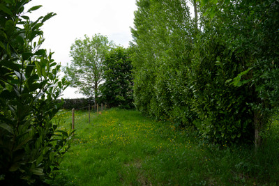 French property for sale in Aubéguimont, Seine-Maritime - €455,800 - photo 13