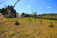 Maison à vendre à La Livinière, Hérault - 350.000 € - photo 9