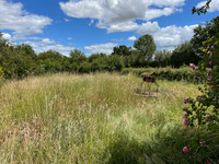 Propriété à vendre à Saint-Hilaire-en-Lignières, Cher - 77 000 € - photo n°7