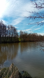 Lacs à vendre à Lessac, Charente, Poitou-Charentes, avec Leggett Immobilier