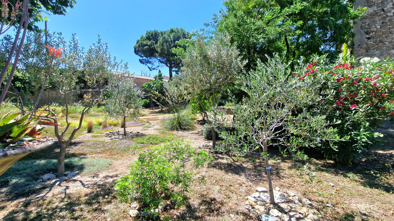 French property for sale in Peyriac-Minervois, Aude - €720,000 - photo 13