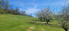 French property for sale in Galapian, Lot-et-Garonne - €410,000 - thumbnail 14