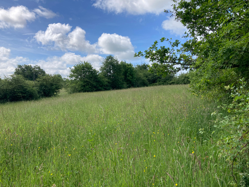 French property for sale in Lussac-les-Églises, Haute-Vienne - €399,999 - photo 13