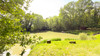 French property for sale in Piégut-Pluviers, Dordogne - €266,430 - thumbnail 9