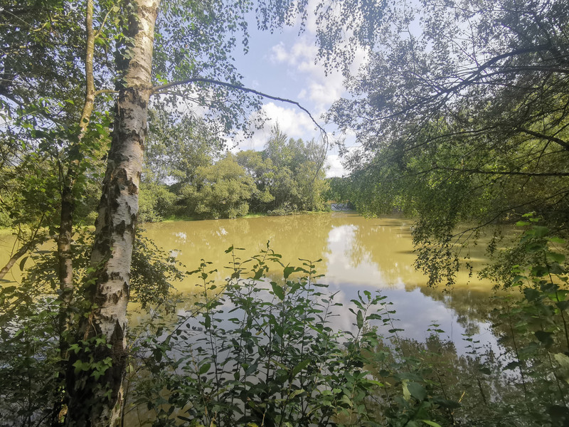 French property for sale in Langon, Ille-et-Vilaine - €108,900 - photo 14