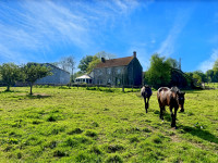 Propriété à vendre à Tanville, Orne - 365 000 € - photo n°3