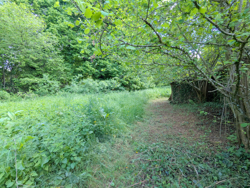 French property for sale in Saint-Priest-la-Marche, Cher - €79,200 - photo 10