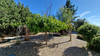 French property for sale in Cesseras, Hérault - €317,000 - thumbnail 13