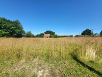 Maison à vendre à Le Teilleul, Manche - 173.950 € - photo 7