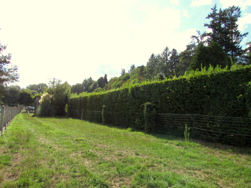 French property for sale in Fursac, Creuse - €65,000 - photo 9