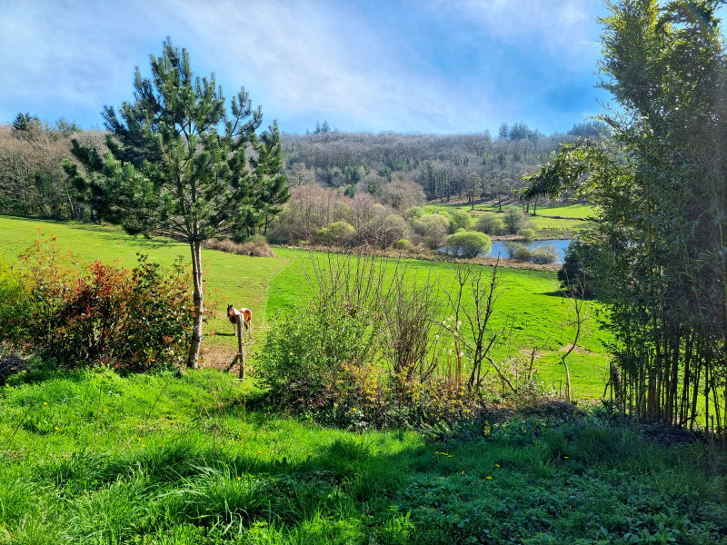 French property for sale in Montrol-Sénard, Haute-Vienne - €194,400 - photo 9