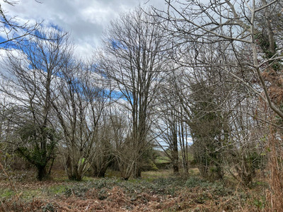 French property for sale in La Coquille, Dordogne - €20,000 - photo 7