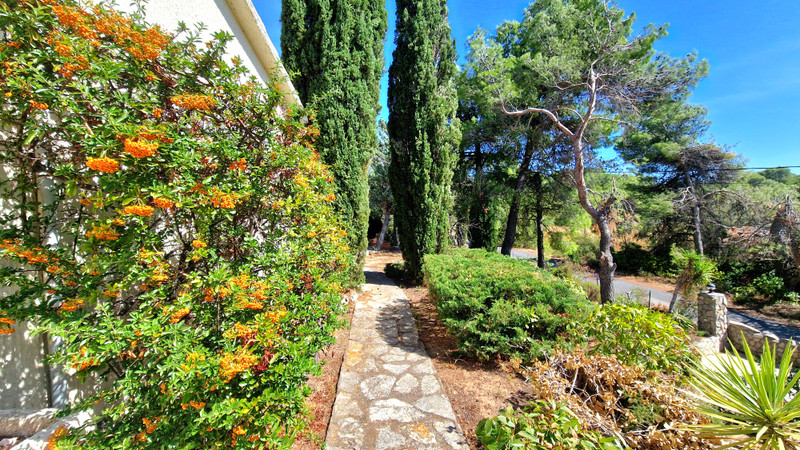 French property for sale in Pouzols-Minervois, Aude - €239,000 - photo 7