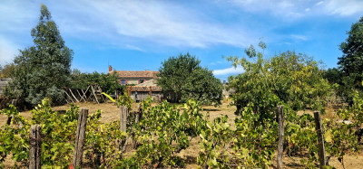 French property for sale in Maillezais, Vendée - €249,900 - photo 2