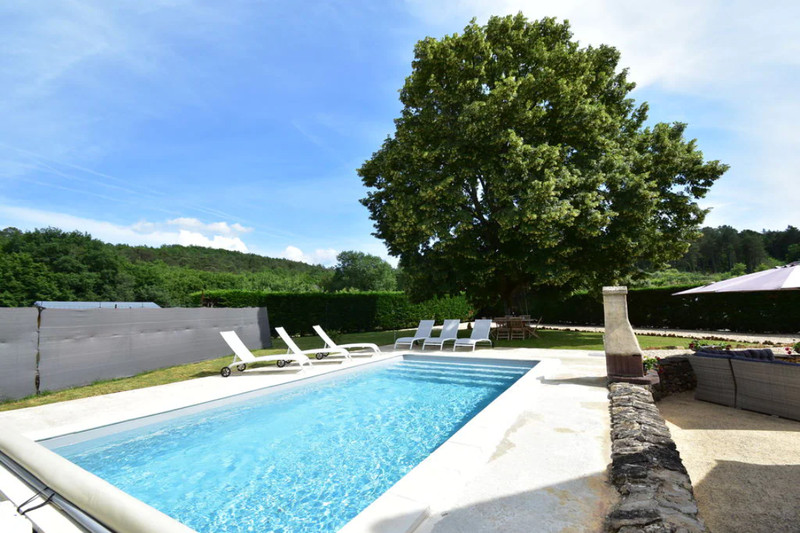 French property for sale in Saint-Léon-sur-Vézère, Dordogne - €395,000 - photo 2