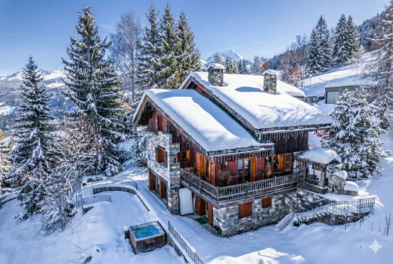 Ski property for sale in La Plagne - €3,450,000 - photo 0