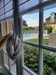 French property for sale in Saint-Paul-Lizonne, Dordogne - €93,500 - thumbnail 12