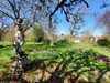 French property for sale in Bussière-Badil, Dordogne - €256,800 - thumbnail 9