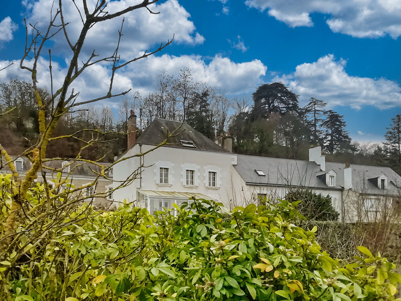 French property for sale in Chaumont-sur-Loire, Loir-et-Cher - €399,000 - photo 4