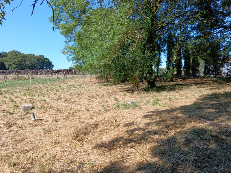 French property for sale in La Chapelle-Bâton, Vienne - €204,120 - photo 12